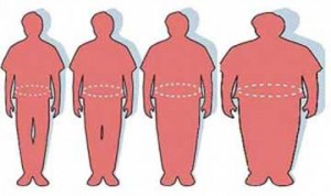 Measure Belly Fat