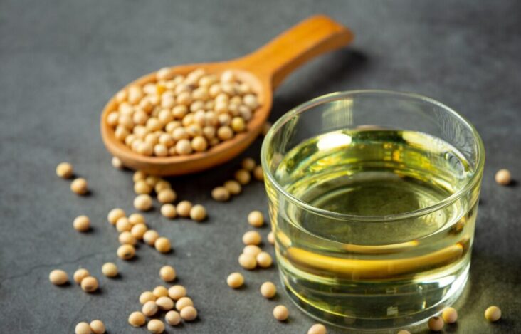 soybean is good for weight loss